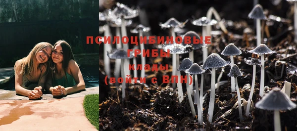 гидра Михайлов