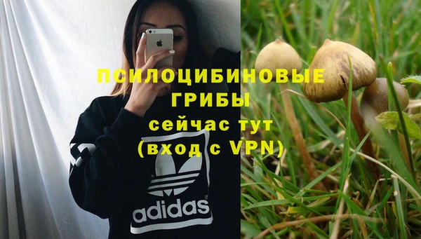 соль ск Михайловка