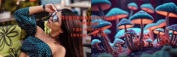 гидра Михайлов