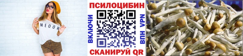 Купить закладки  Олонец  Псилоцибиновые грибы GOLDEN TEACHER 