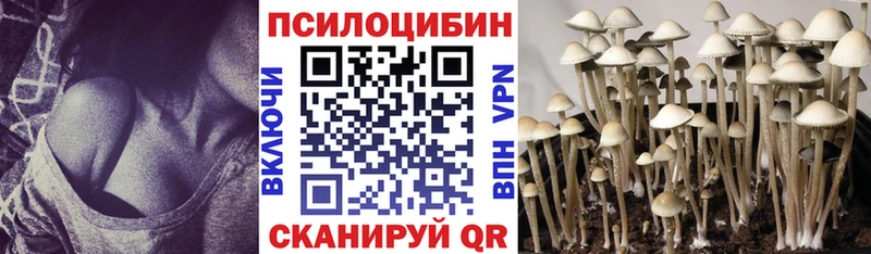 Галлюциногенные грибы Psilocybe Олонец